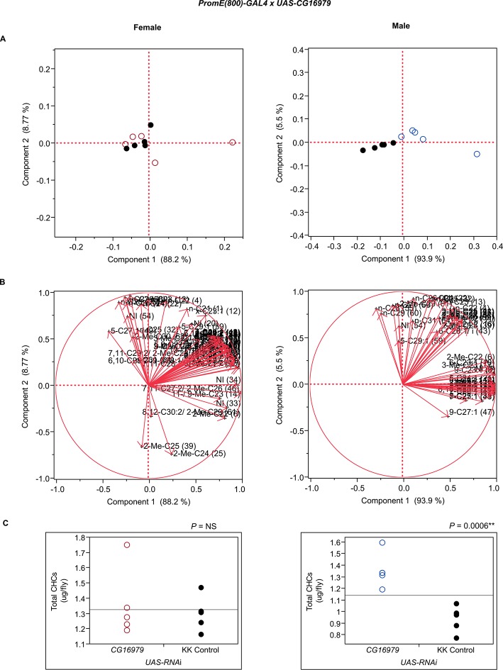 Figure 7—figure supplement 11.