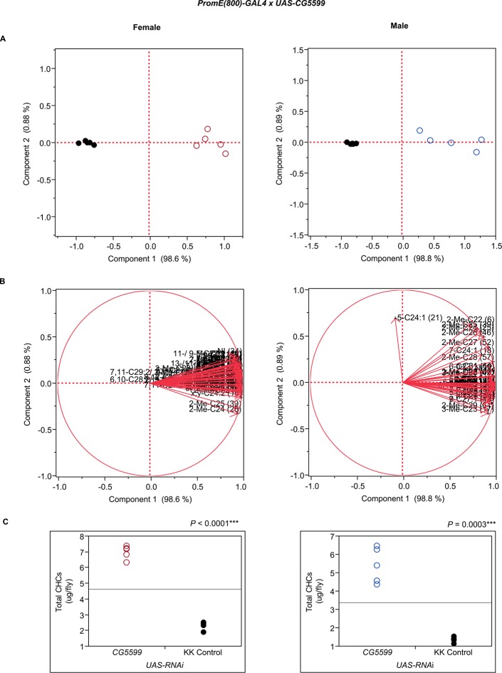 Figure 7—figure supplement 2.