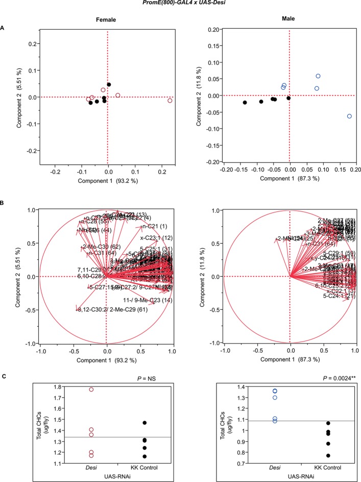 Figure 7—figure supplement 17.