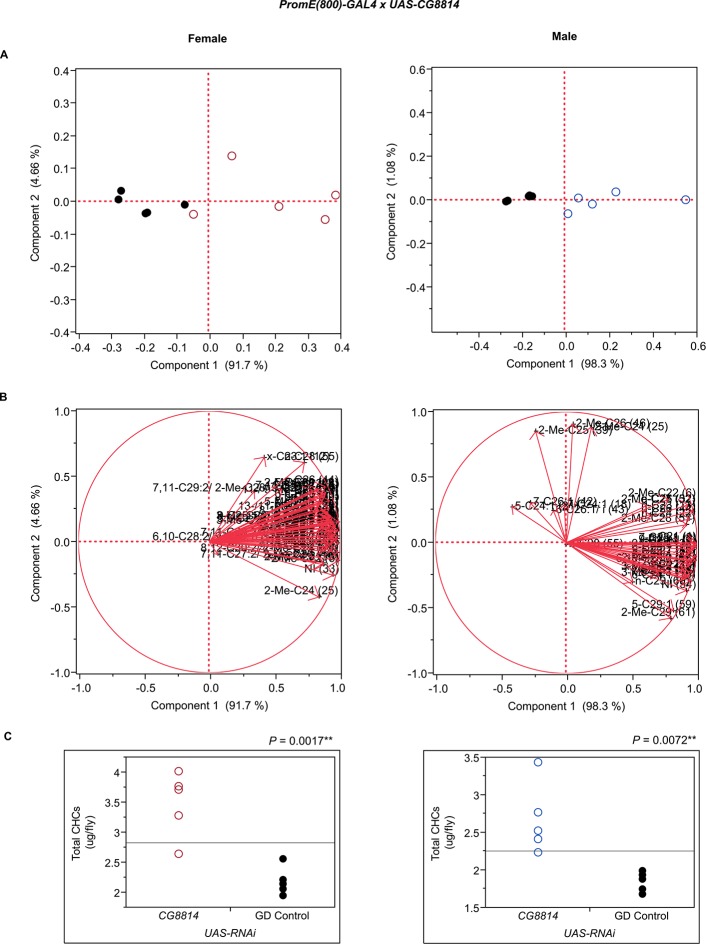 Figure 7—figure supplement 5.