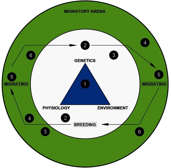 Figure 1: