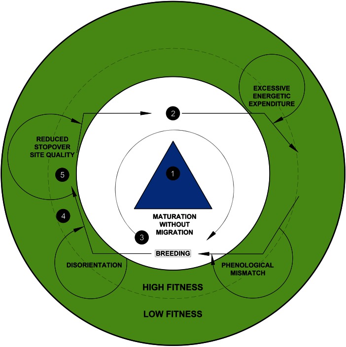 Figure 2: