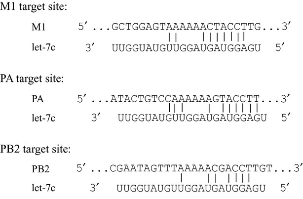 Fig 5