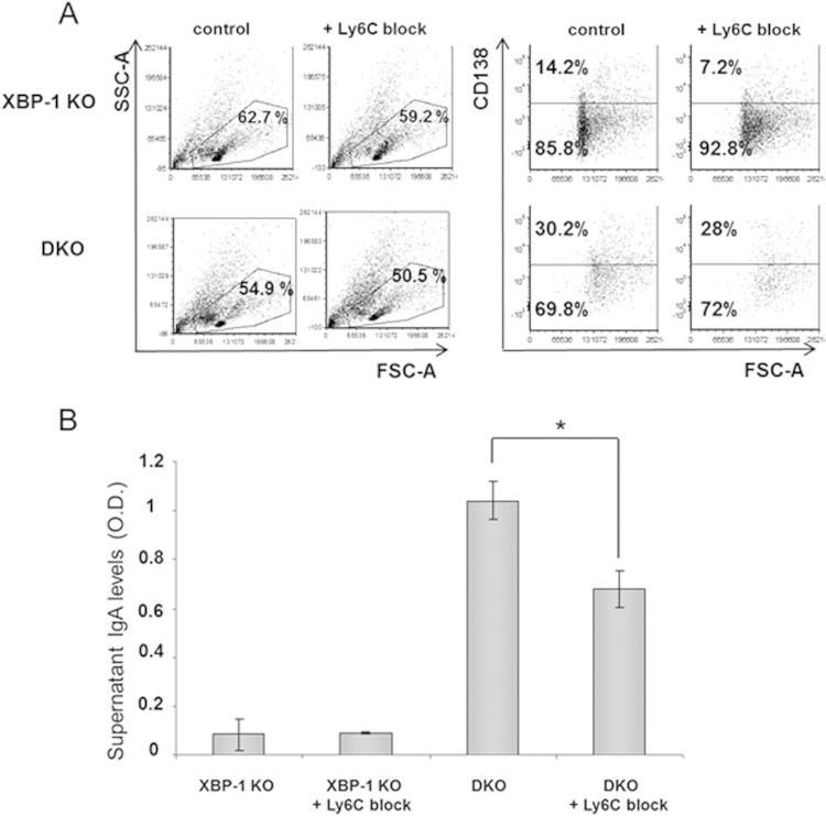 FIG 11