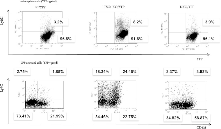 FIG 10