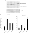 FIG 8