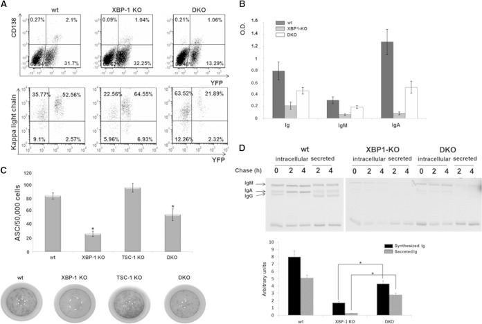 FIG 4