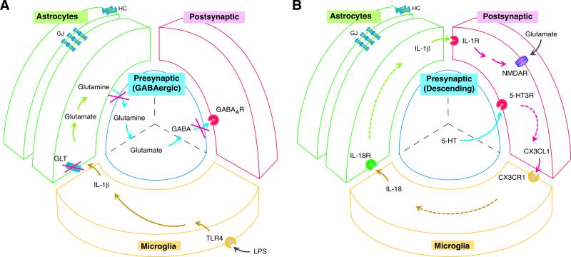 Fig. 2