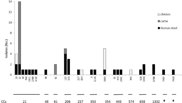 FIGURE 2