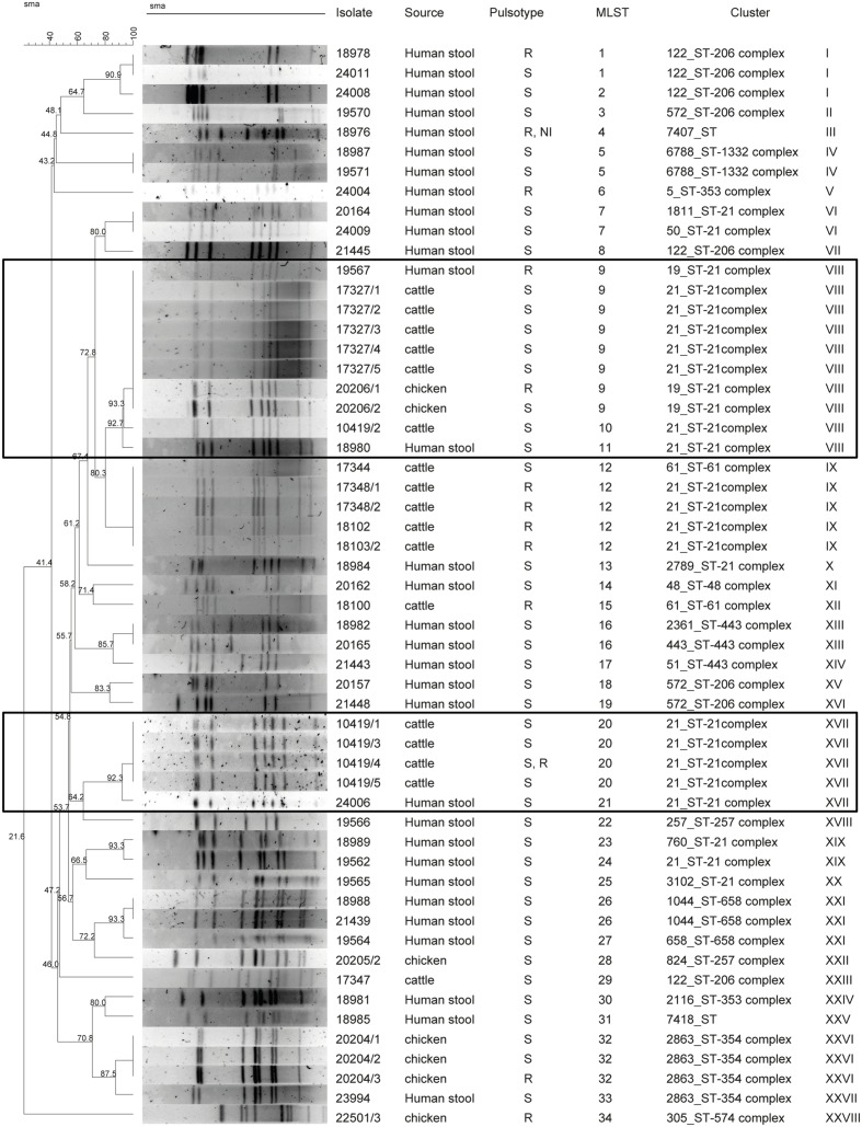 FIGURE 1