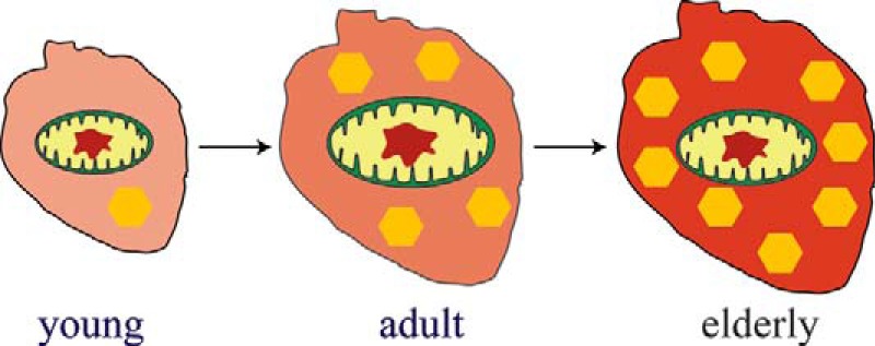 FIGURE 7.