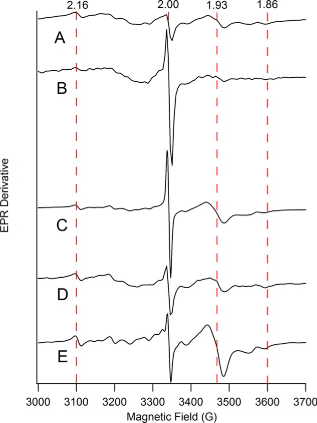 FIGURE 4.