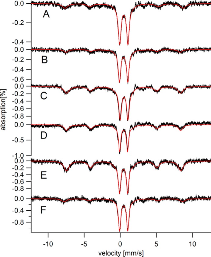 FIGURE 3.