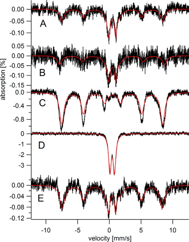 FIGURE 5.