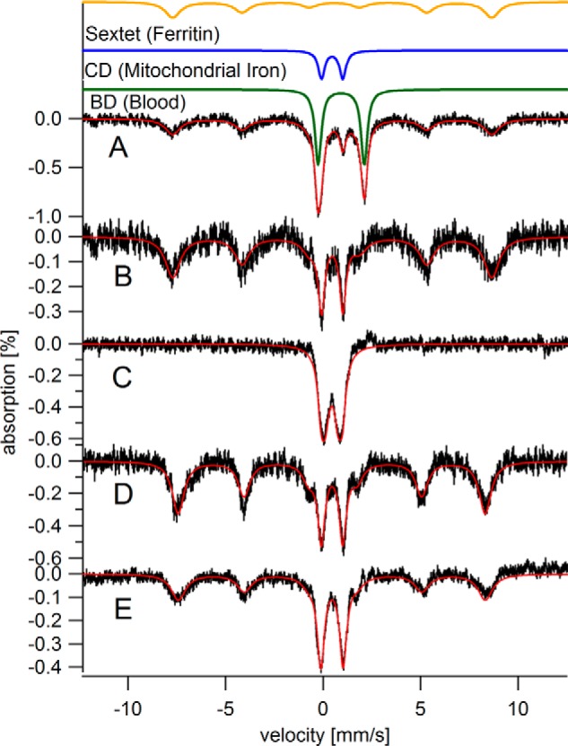 FIGURE 1.