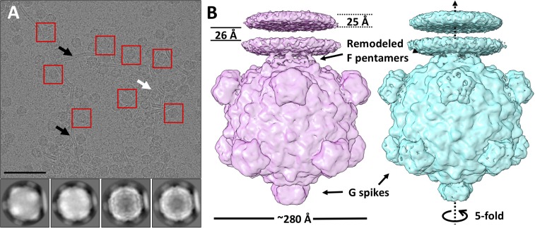 Fig. 2.