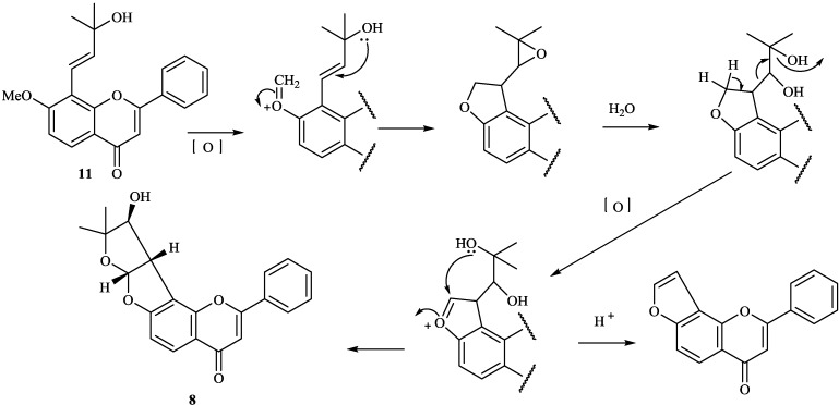 Scheme 2