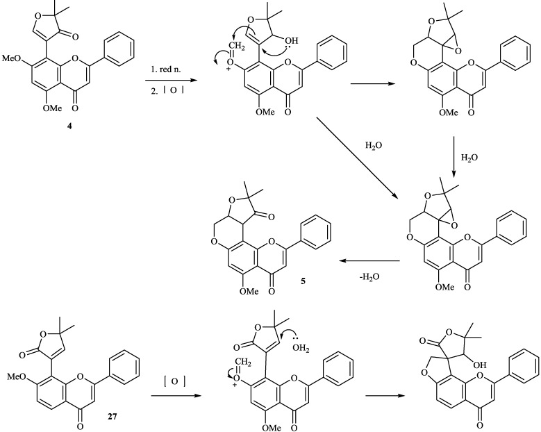 Scheme 4