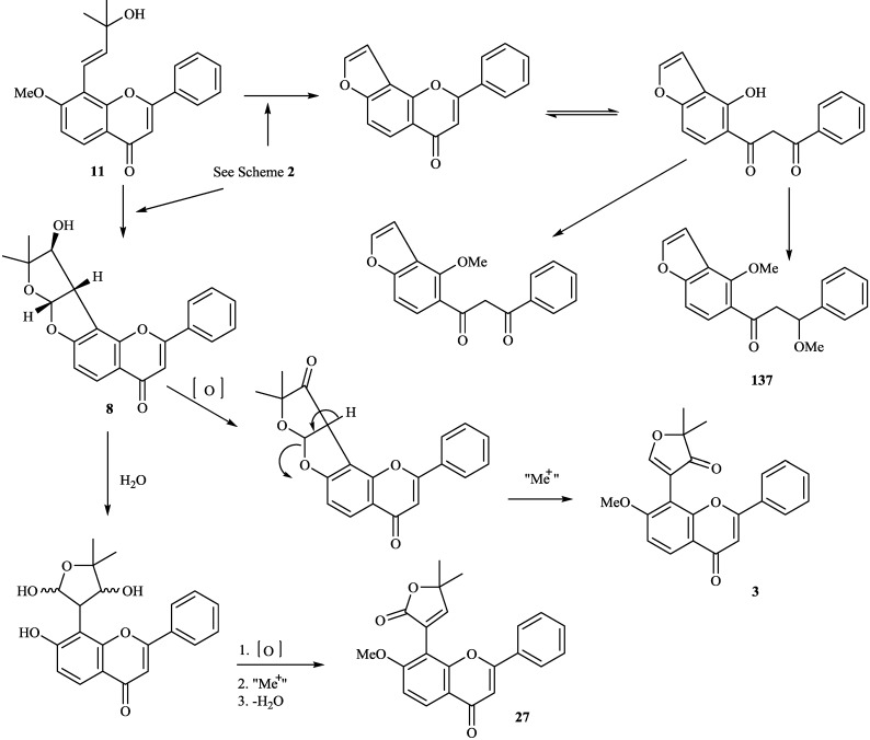 Scheme 3