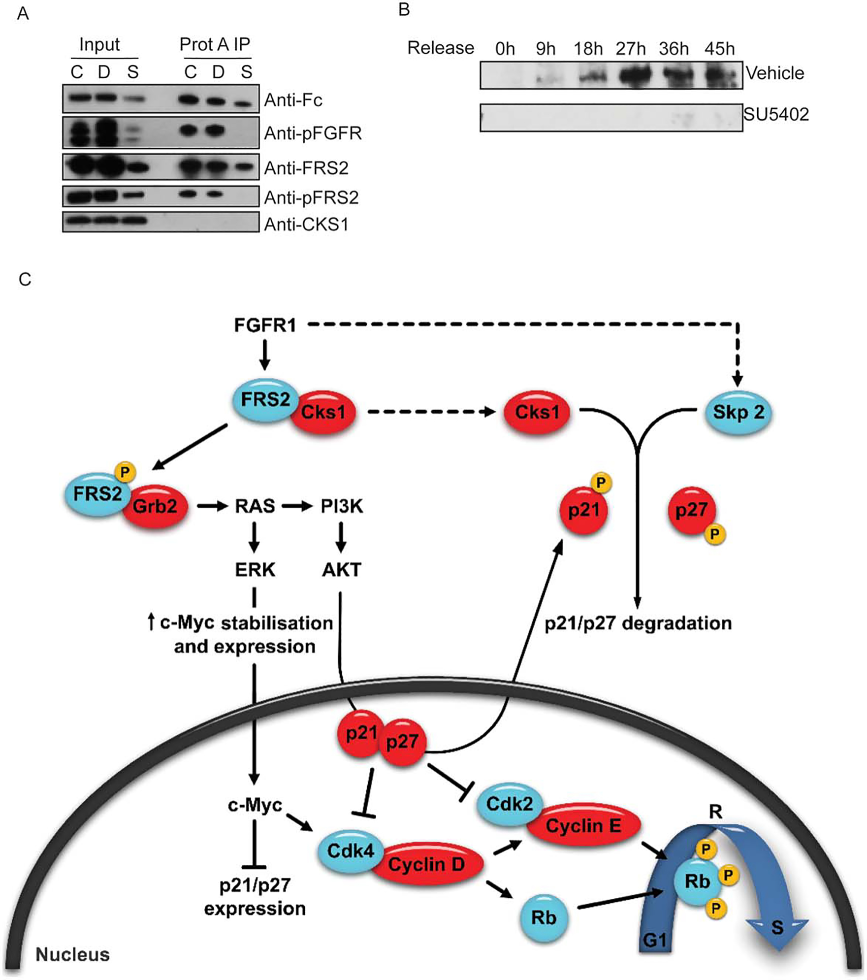 Figure 6.