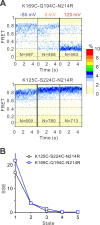 Figure 1—figure supplement 3.
