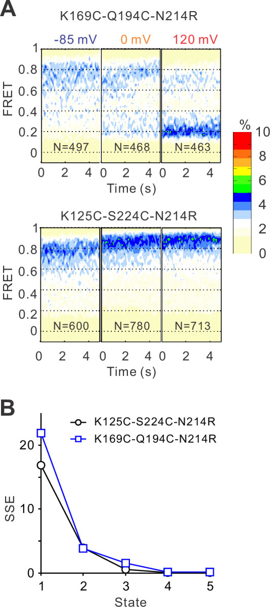 Figure 1—figure supplement 3.