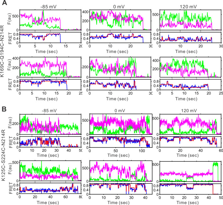 Figure 1—figure supplement 4.