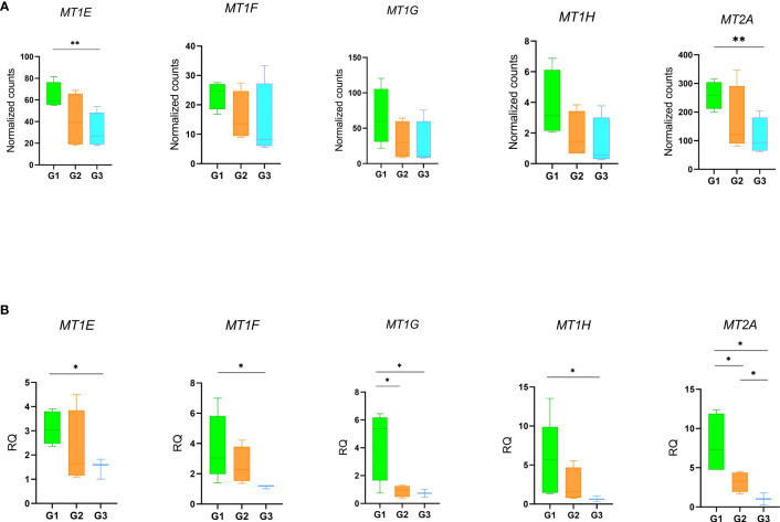 Figure 6