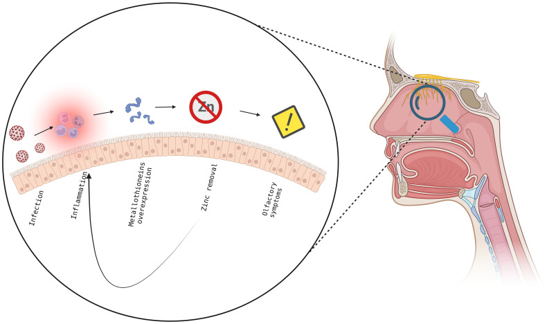 Figure 7