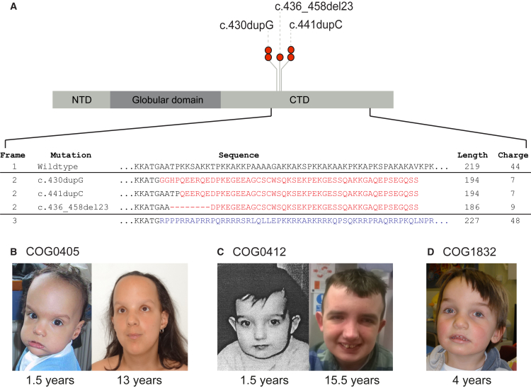 Figure 2