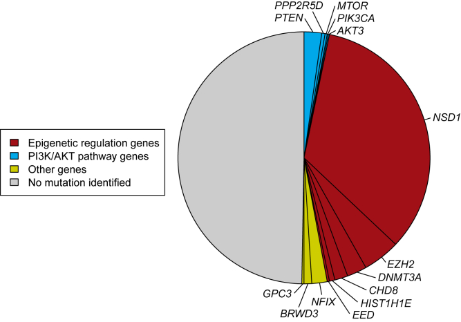 Figure 1