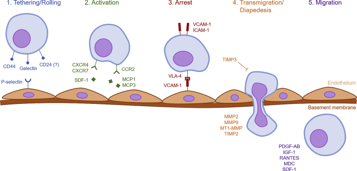 Figure 1