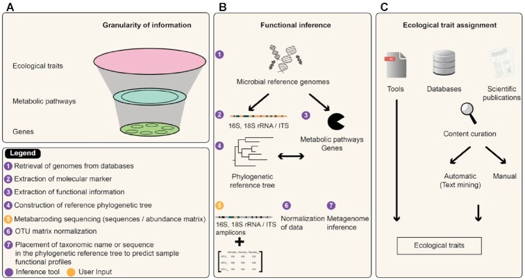 Figure 5: