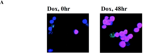 FIG.6.