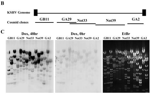 FIG.6.