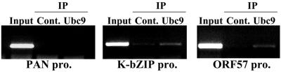 FIG. 8.