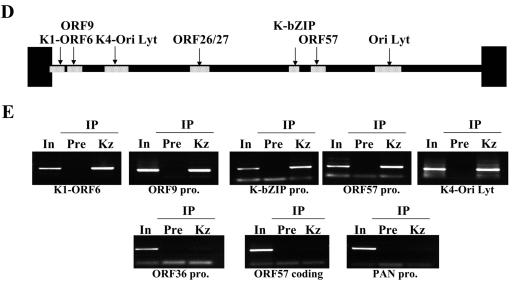 FIG.6.