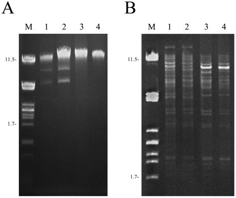 FIG. 3.