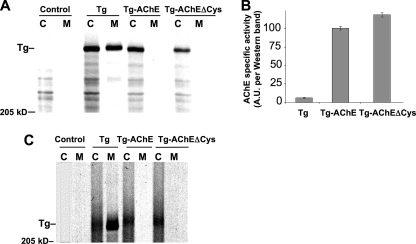 FIGURE 10.