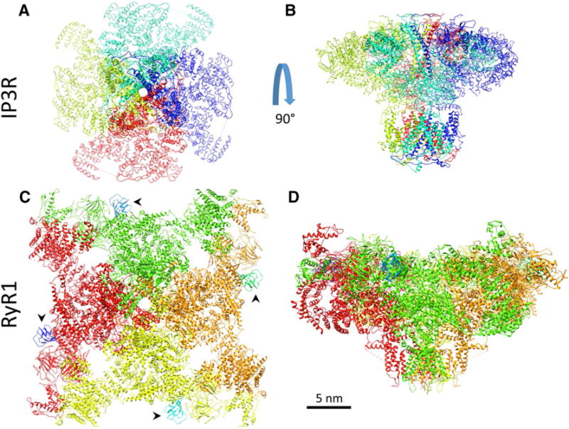 Fig. 1