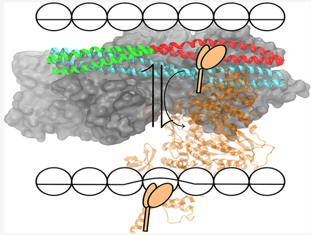 graphic file with name nihms-1691569-f0001.jpg