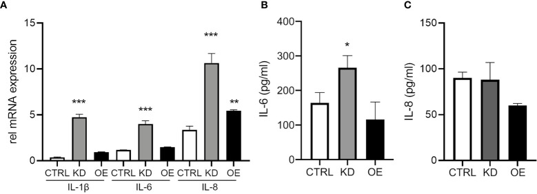 Figure 3