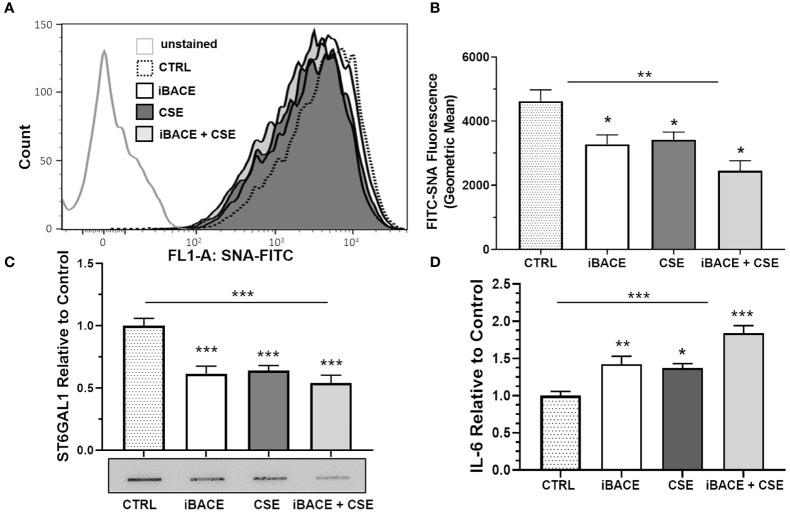 Figure 5