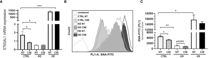 Figure 2