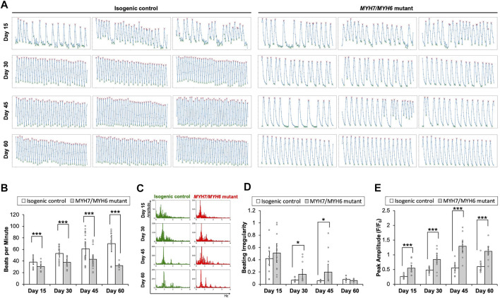 FIGURE 3