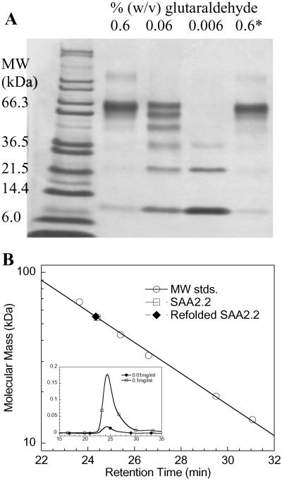 Fig 1.