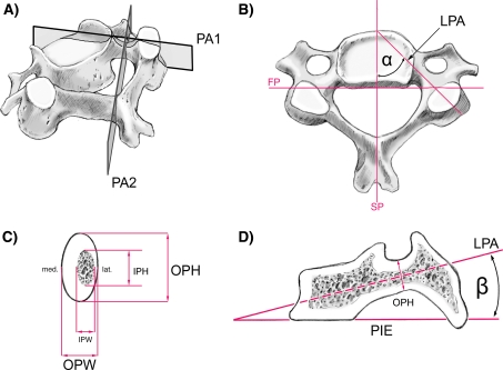 Fig. 1