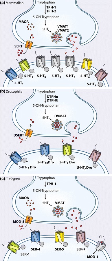 Fig. 2