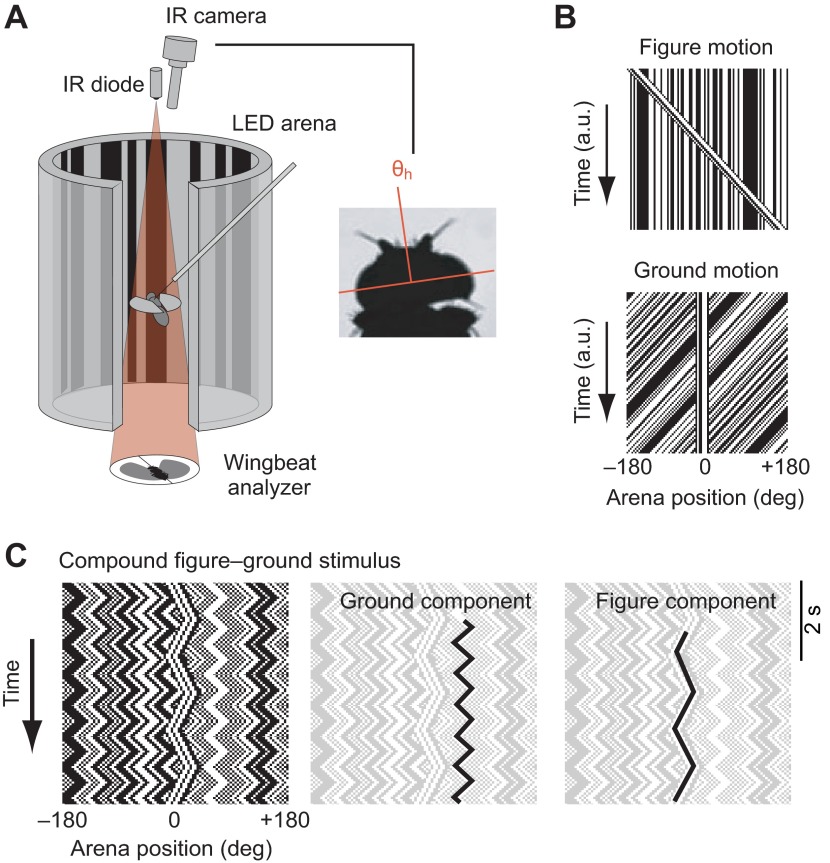 Fig. 6.