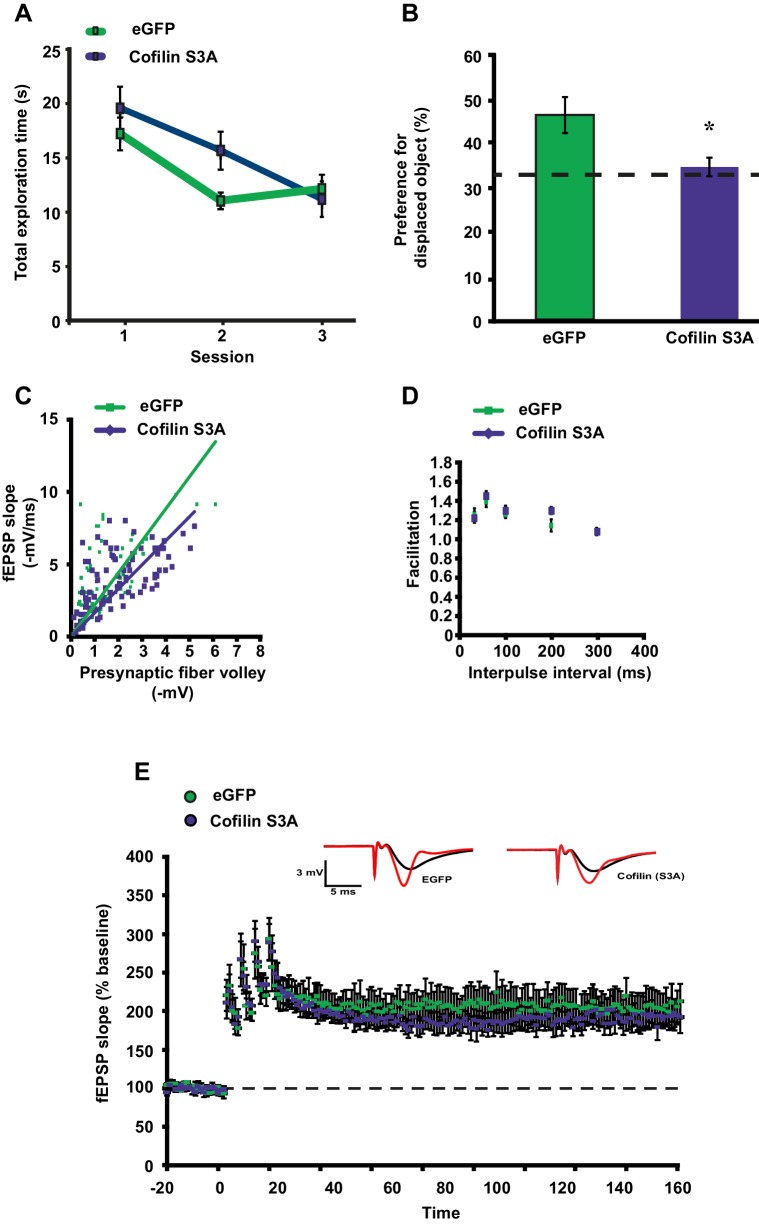 Figure 4—figure supplement 2.